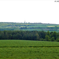 The Rolling Hills of Wentworth