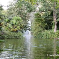 Waterscape