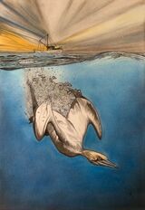 The Diving Gannet