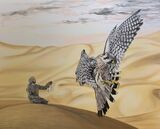 The Falconer - Saudi Arabia