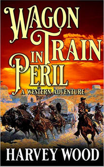 Available on Amazon