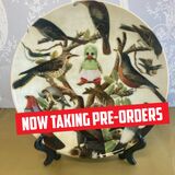 I Can Fly plate