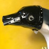 The Secret Life Of Flipper