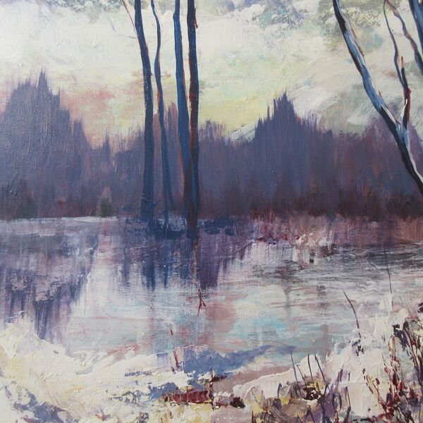 Frozen pond