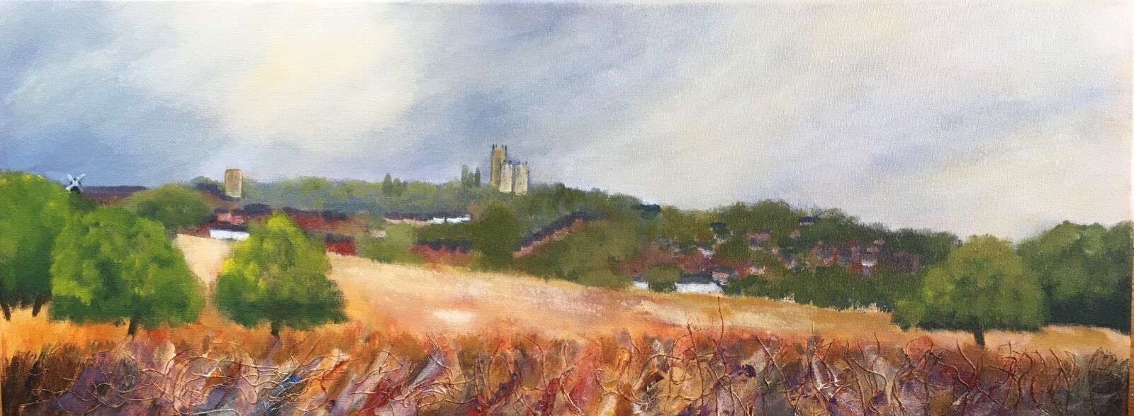 West Common Lincoln, Lincoln Cathedral, Ellis Mill, Carholme Race Course