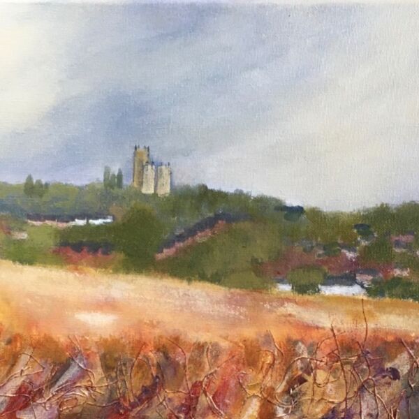 West Common Lincoln West Common Lincoln, Lincoln Cathedral, Ellis Mill, Carholme Race Course
