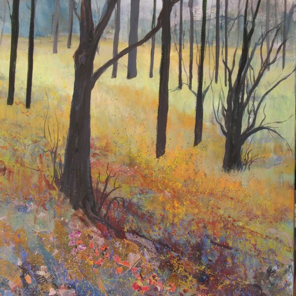 Waiting for Spring winter woods