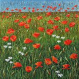 Primary Colour - RED, 57cm x 57cm