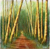 Sky Props. (Tunnel of trees on the Miners Trail)
