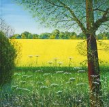 Primary Colour - YELLOW, Oilseed Rape, 57cm x 57cm SOLD