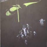 Fallen Flyer
