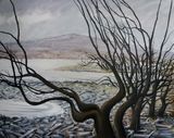 The Lagoons ( Llyn Peris) 2017-18