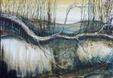 Winter Ash Bough