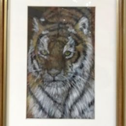 No. 15, "Tiger"