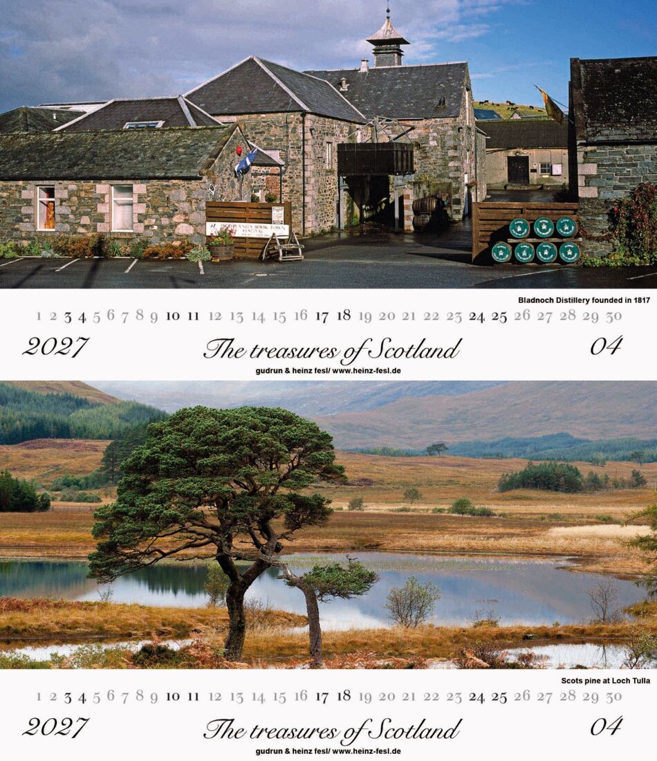 Bladnoch Distillery founded in 1817 /Scots pine at Loch Tulla
