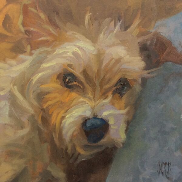 Waggle (ASBO)