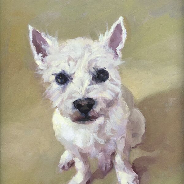 Little White Terrier