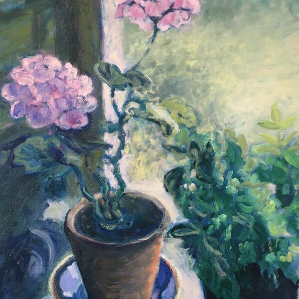 0130 Pink Geranium by the Window