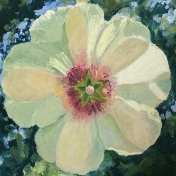 049 Hollyhock, after O'Keefe