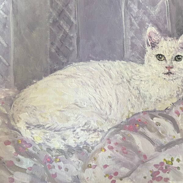 050 Bertie on the Bed