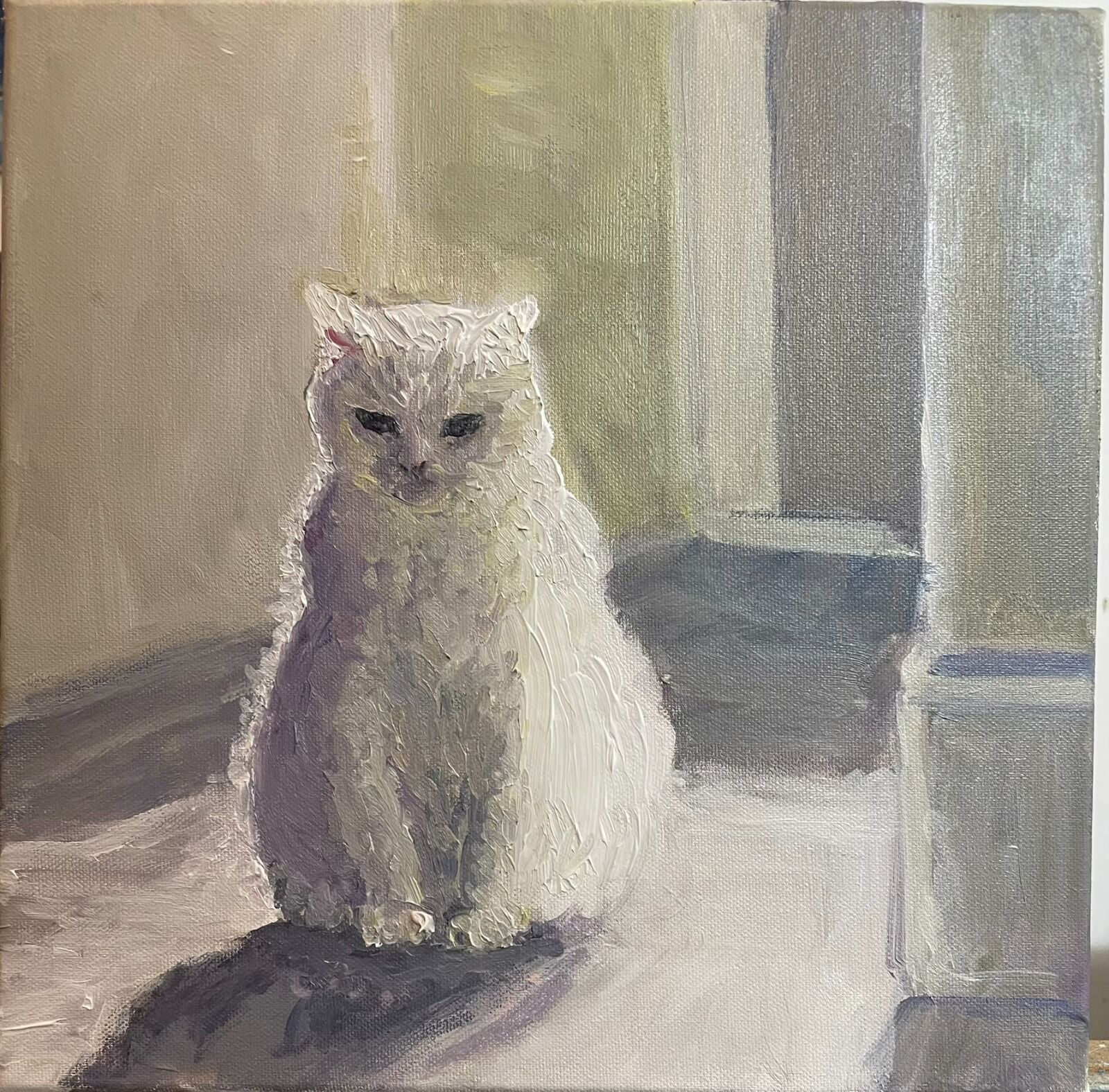 051 Bertie against the Light