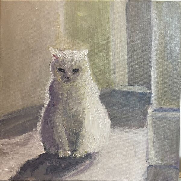 051 Bertie against the Light