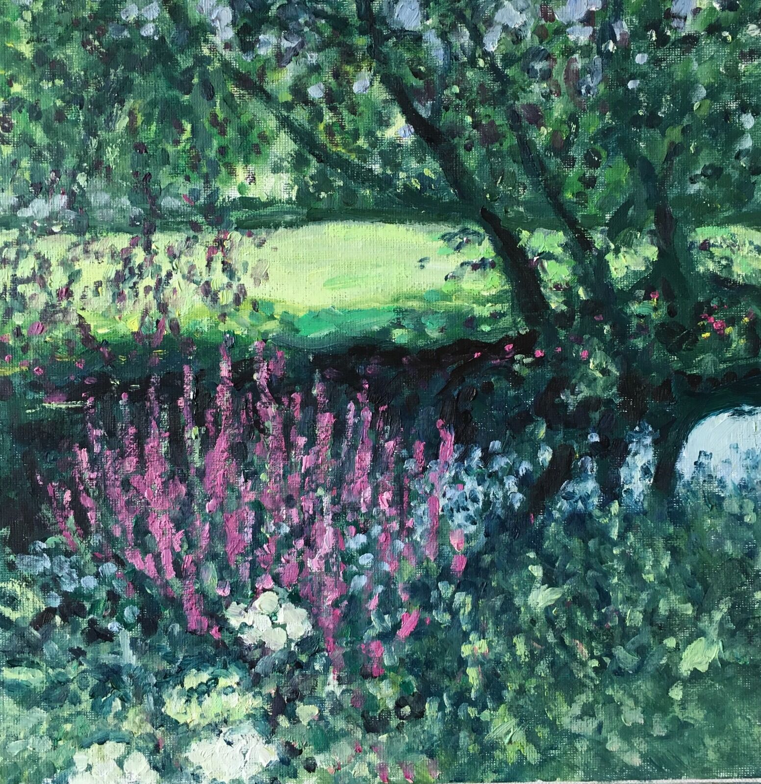 076 Rose Bay Willow Herb by the Stream
