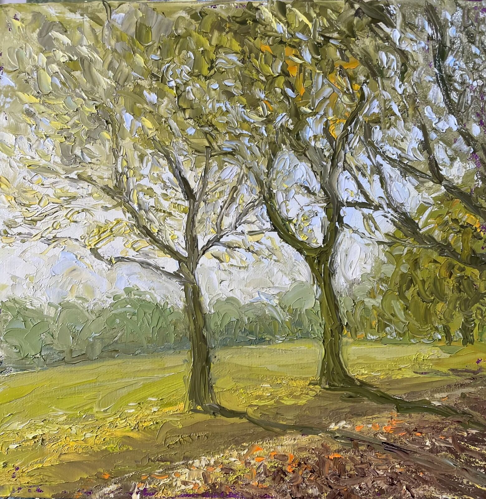 080 Highbury Fields, Autumn