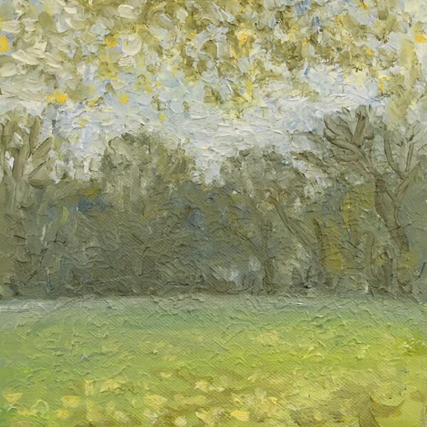 084 Highbury Fields, Early Autumn