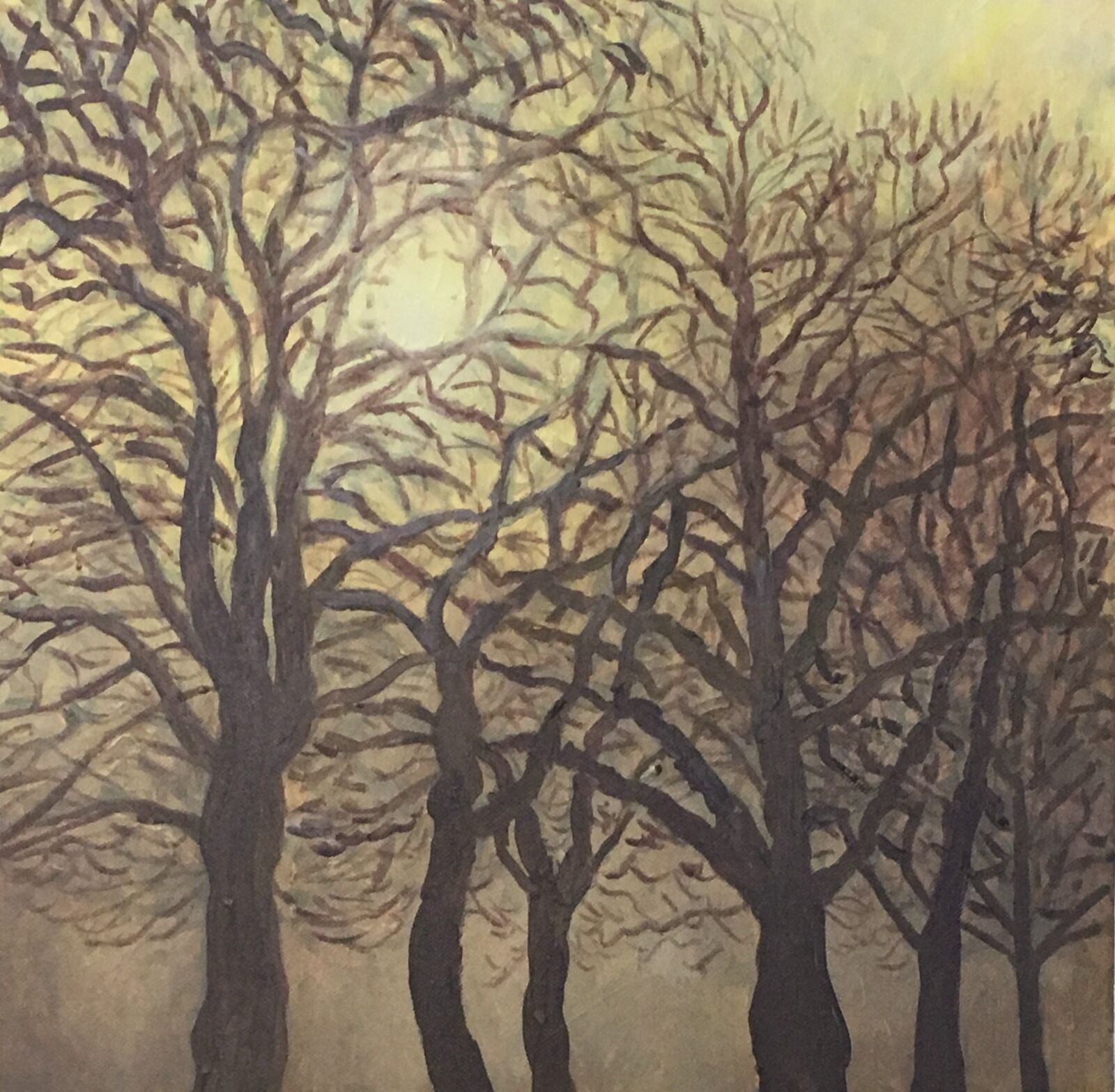 092 Trees in Golden Light