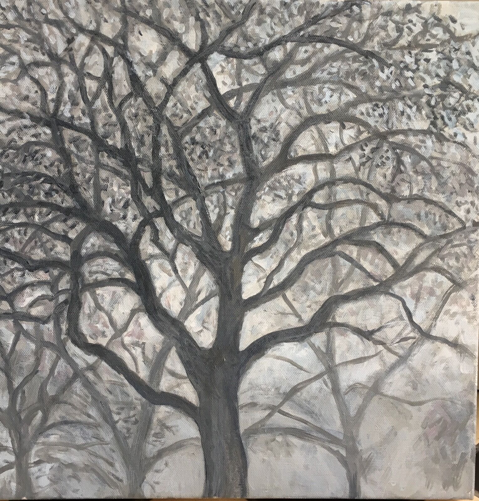 093 Trees in Silvery Light