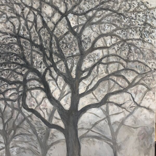093 Trees in Silvery Light