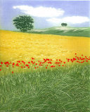 poppy border