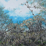 small signs of spring