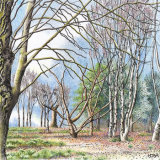 snowdrop day at goodnestone