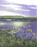 saltmarsh