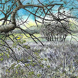 transition to spring