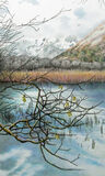 winter - brotherswater
