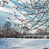 frozen stillness (ink and coloured pencil)