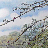 summer into autumn (detail in ink and coloured pencil)