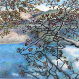 quiet by derwentwater