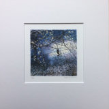 selected giclée prints