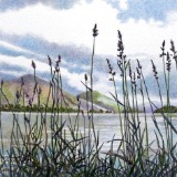 ink and coloured pencil landscapes