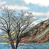 tree by wastwater (sold)