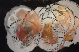 20151006 161818 (Small)