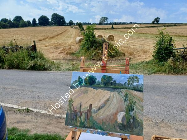 Barley harvest plein air