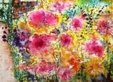 Dahlias