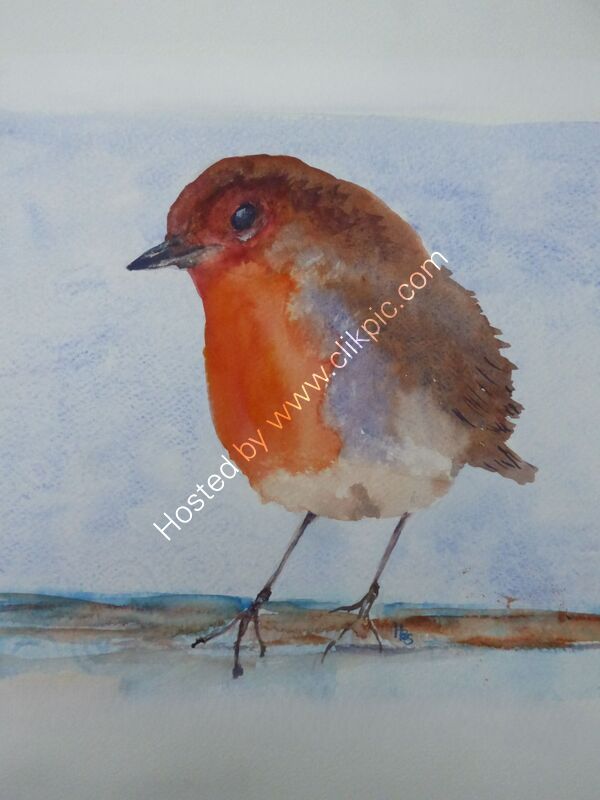 Friendly Robin   watercolour