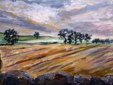 Hay Meadow