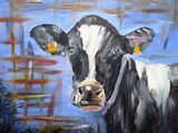 Holstein Heiffer